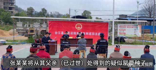 女子屋顶种植900多株罂粟涮火锅获刑六个月